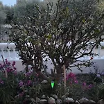 Tharreni's House In Lindos بيت للعطل