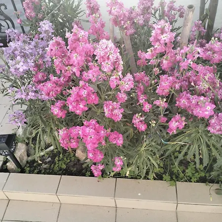 Tharreni House, Pilona Village Dom wakacyjny Vlicha (Rhodes)