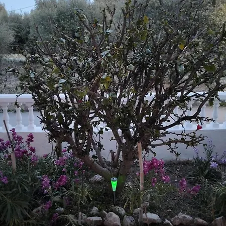 Tharreni's House In Lindos 펜션