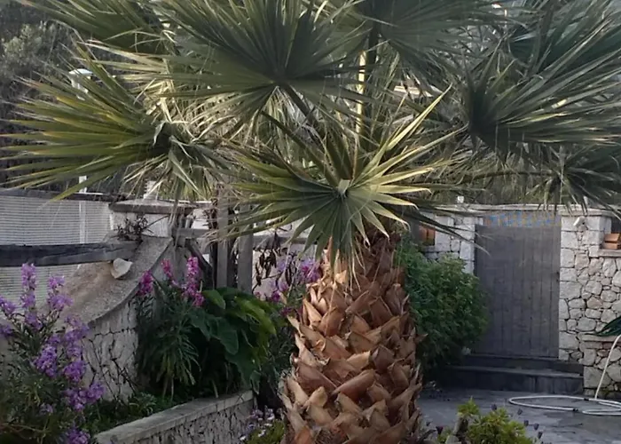 Tharreni'S House In Lindos Tatil Evi