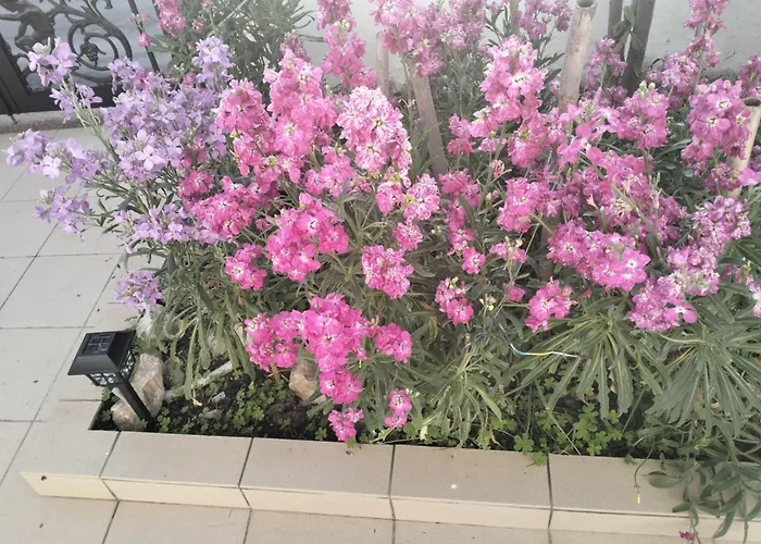 Tharreni'S House In Lindos Tatil Evi Vlicha (Rhodes)